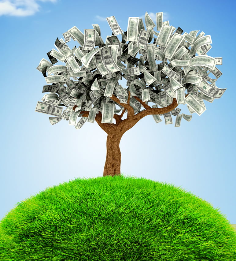 3D Money growing on a tree - financial concepts