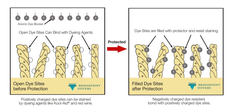 Carpet Dye Site Diagram for Carpet Protector