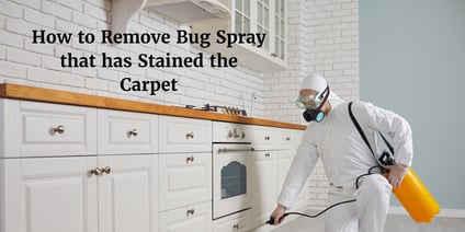 How to Remove Bug Spray that has Stained the Carpet