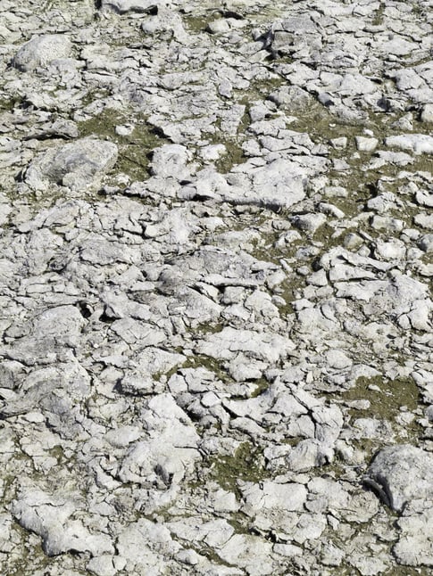 Lake bottom some distance from shore dried up during summer drought at a tourist destination  (Washington Island) in Door County, Wisconsin, USA