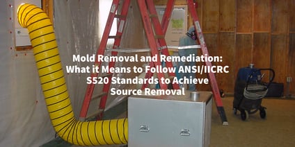 Mold Removal and Remediation Cover