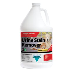 Urine Stain Remover-2