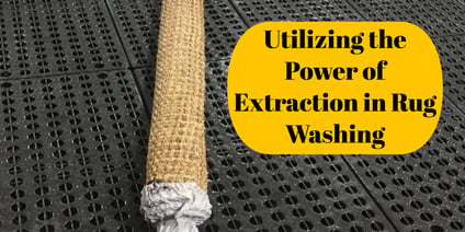 Utilizing the Power of Extraction in Rug Washing