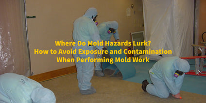 Where do Mold Hazards Lurk_