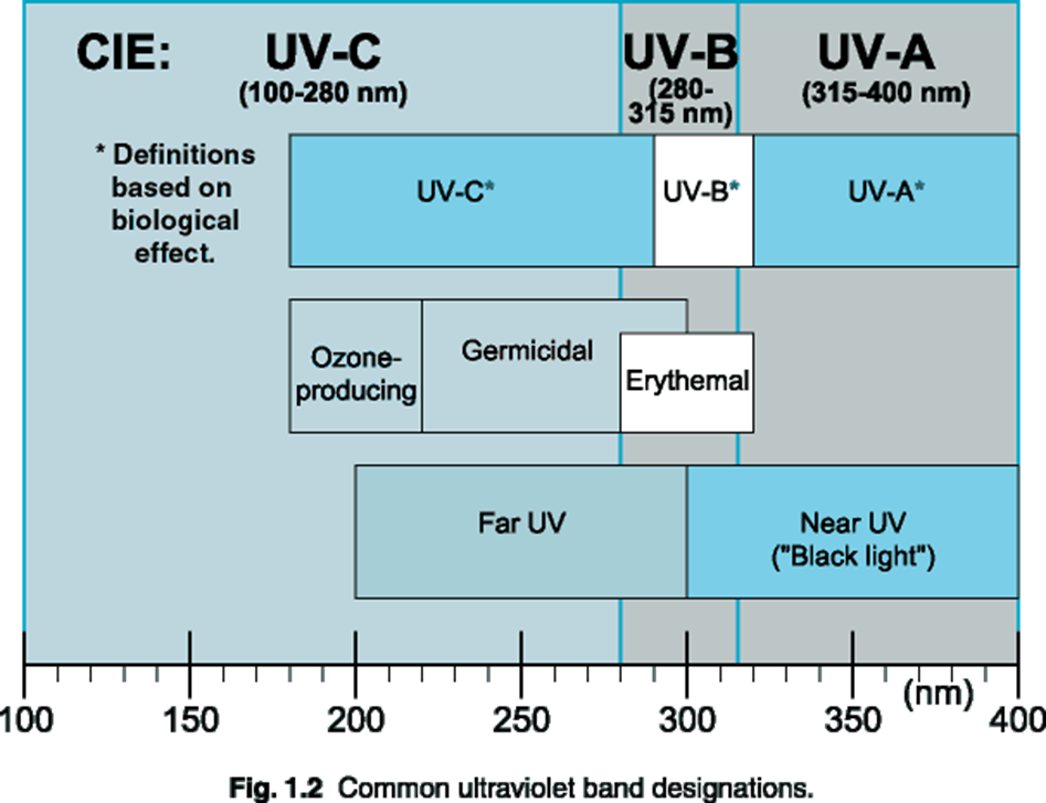 Glowing Secrets Everyday Materials Revealed Under Black Light