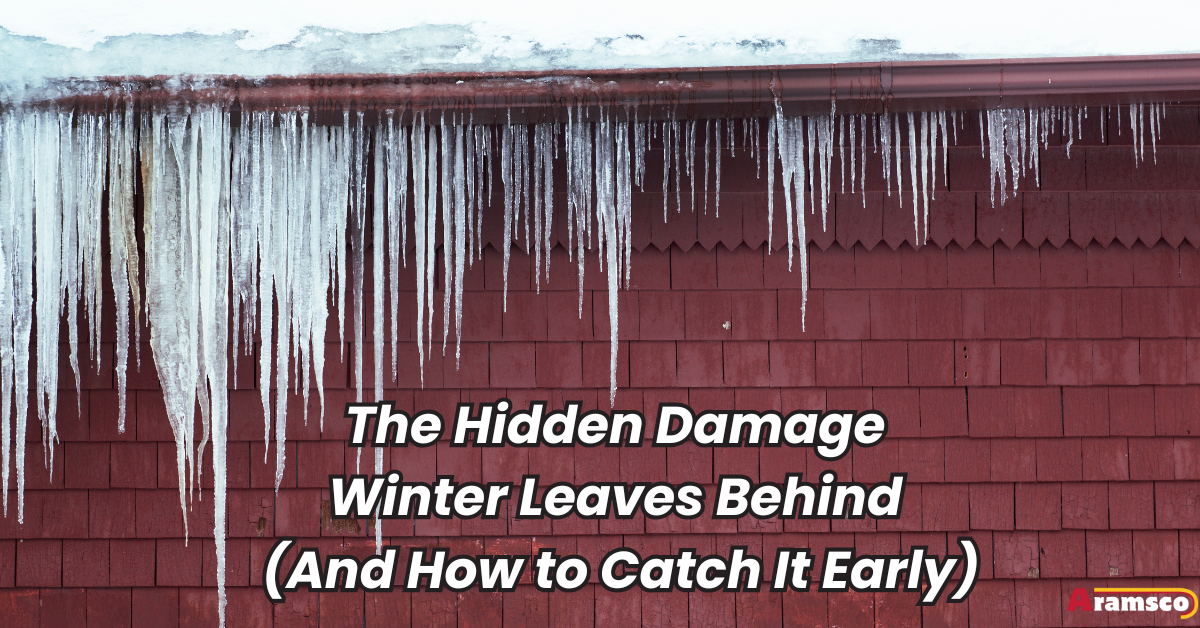 winter damage blog